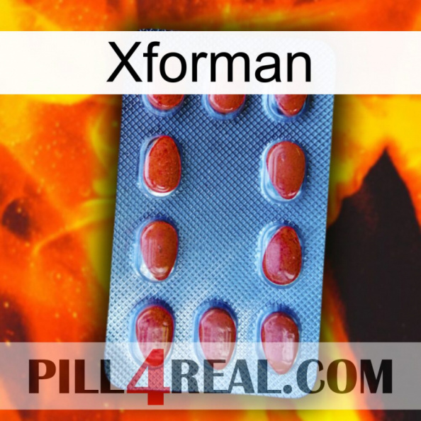 Xforman 06.jpg